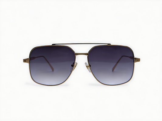 Cartier  CT 0329S